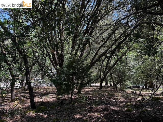 Detail Gallery Image 10 of 12 For 21344 Green Meadow Ln, Sonora,  CA 95370 - – Beds | – Baths