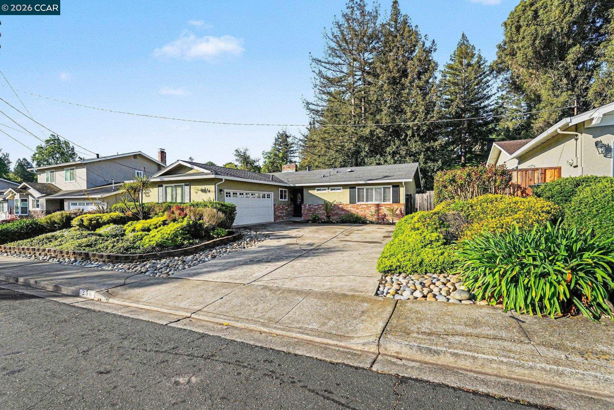 Front Image Thumbnail for CC41129618