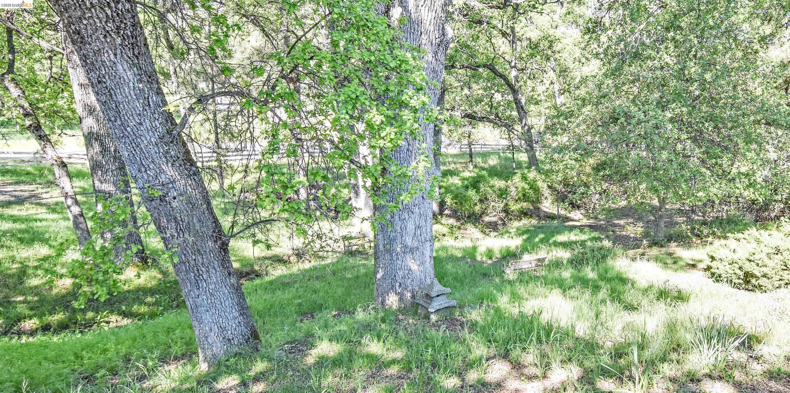 Detail Gallery Image 32 of 38 For 18191 Woodham Carne Rd, Sonora,  CA 95370 - 2 Beds | 1 Baths