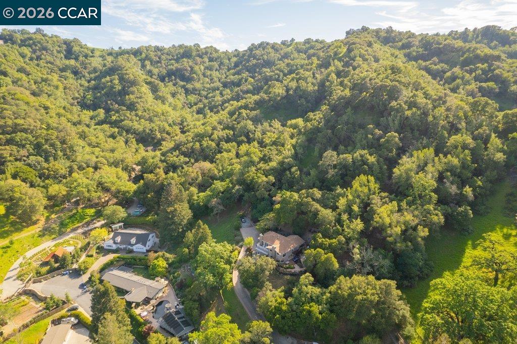 Detail Gallery Image 45 of 53 For 14 Springhill Lane, Lafayette,  CA 94929 - 4 Beds | 3 Baths