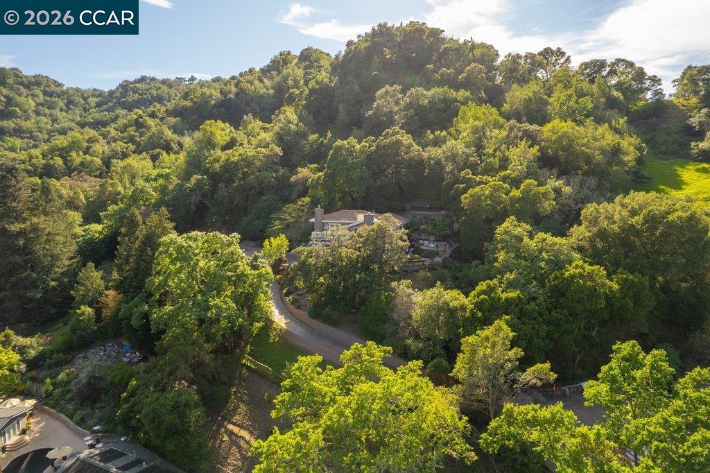 Detail Gallery Image 53 of 53 For 14 Springhill Lane, Lafayette,  CA 94929 - 4 Beds | 3 Baths