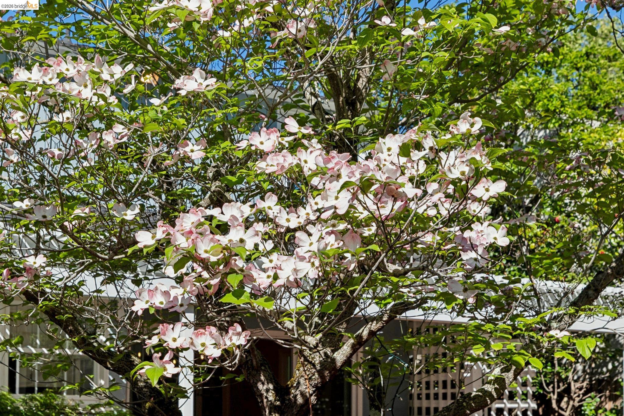 Detail Gallery Image 43 of 57 For 1193 Glen Dr., San Leandro,  CA 94577 - 3 Beds | 2/1 Baths
