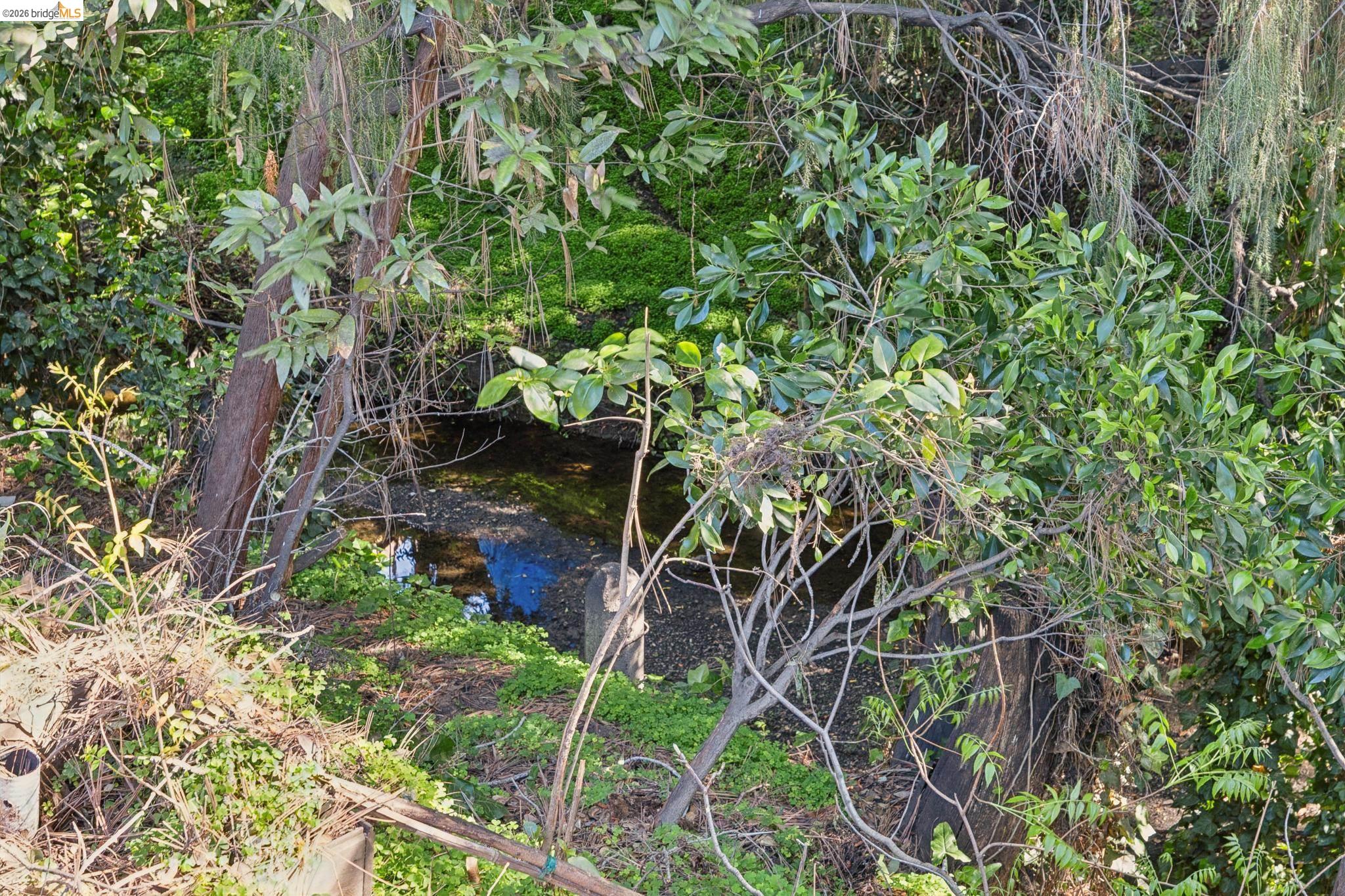 Detail Gallery Image 50 of 57 For 1193 Glen Dr., San Leandro,  CA 94577 - 3 Beds | 2/1 Baths