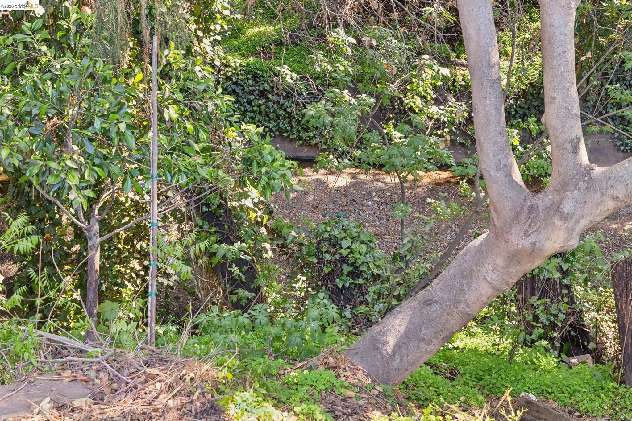 Detail Gallery Image 51 of 57 For 1193 Glen Dr., San Leandro,  CA 94577 - 3 Beds | 2/1 Baths