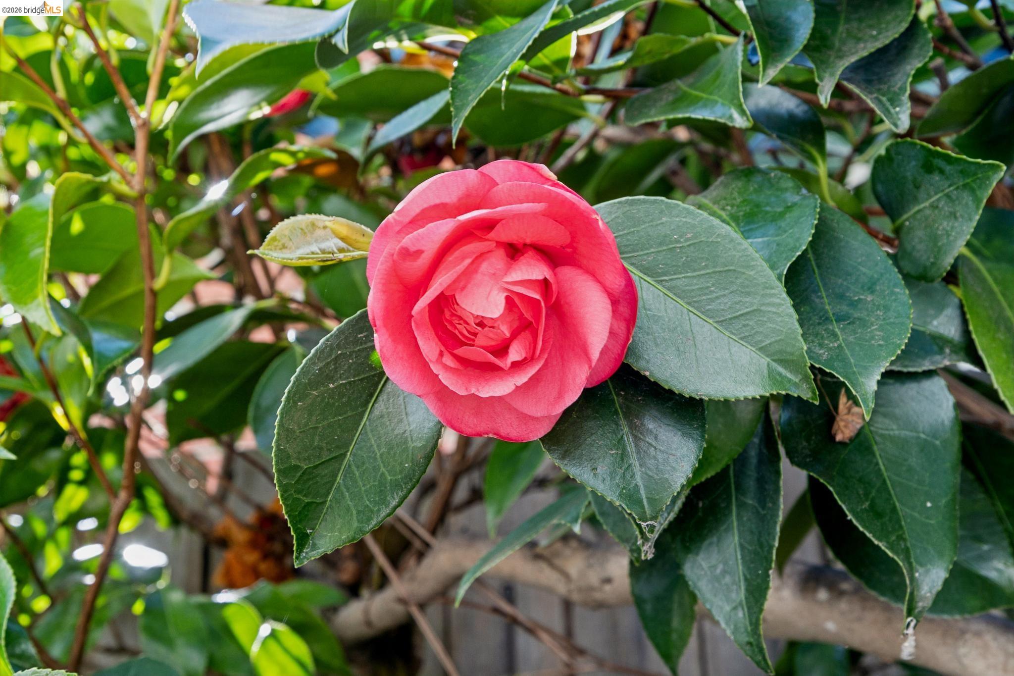 Detail Gallery Image 57 of 57 For 1193 Glen Dr., San Leandro,  CA 94577 - 3 Beds | 2/1 Baths