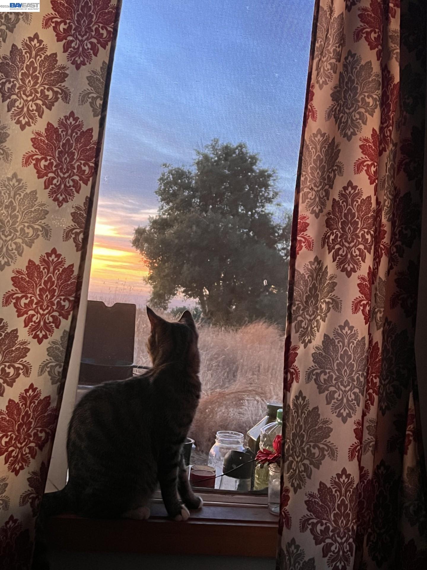 Detail Gallery Image 5 of 5 For 3820 Prussian Hill Rd., –,  CA 95248 - – Beds | – Baths