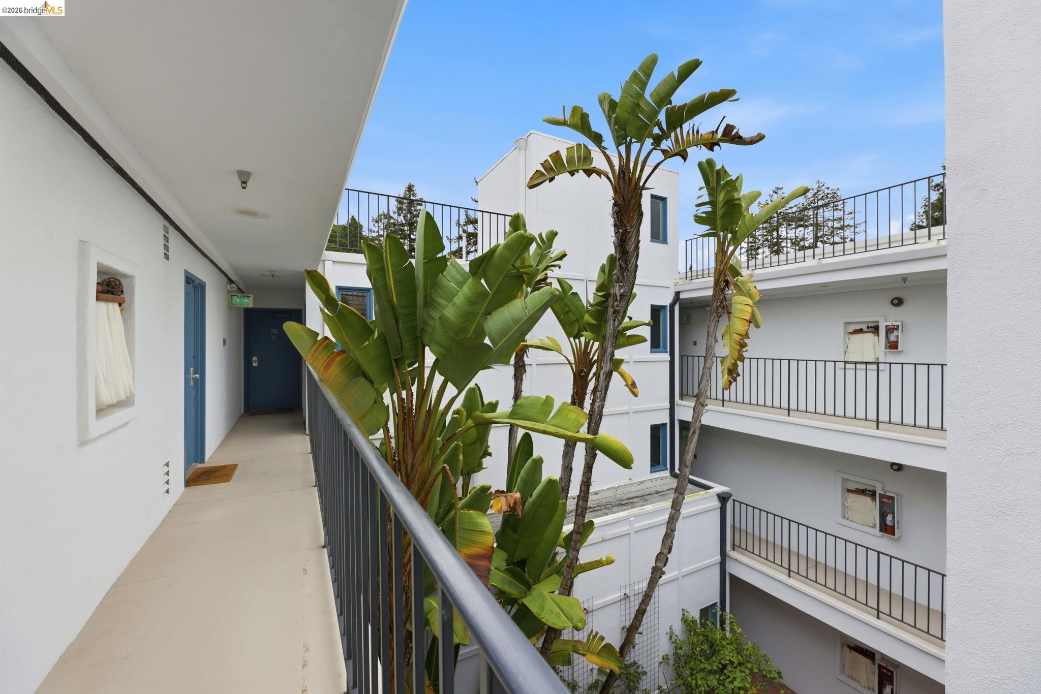 Photo #5: 41129677 Listing: Photo #5