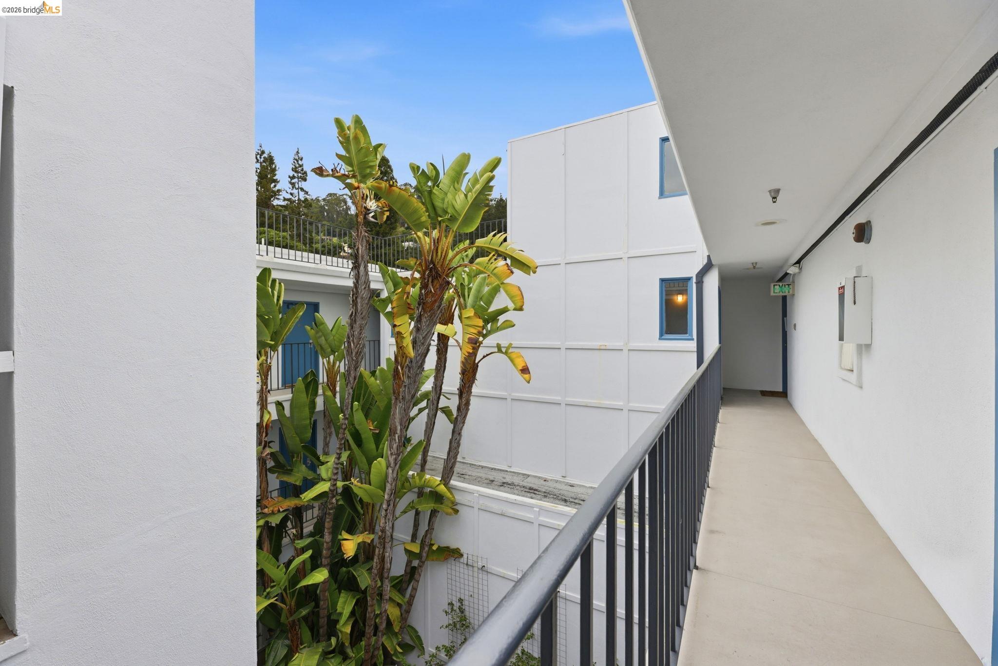 Photo #6: 41129677 Listing: Photo #6