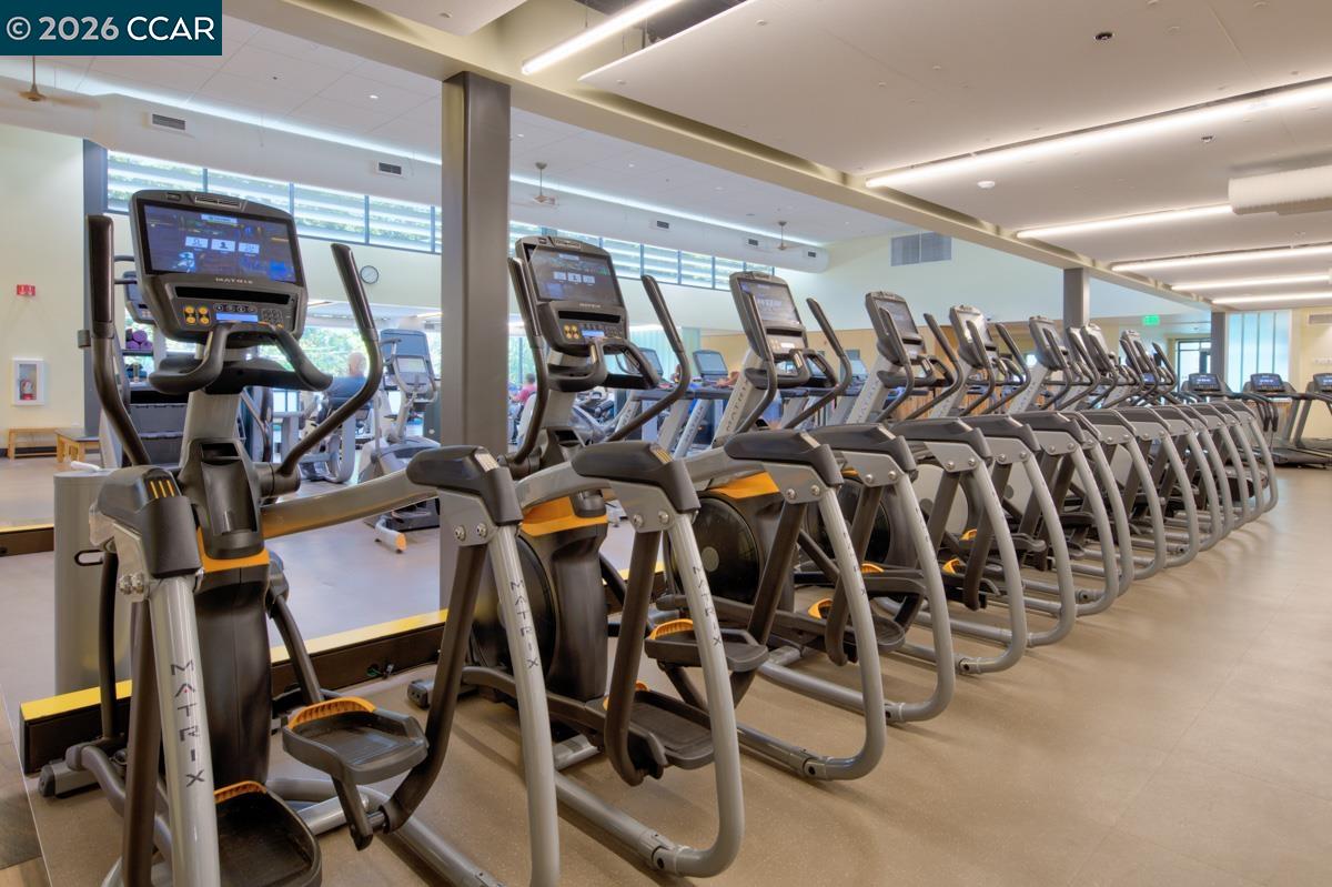 Photo #46: 41129687 Listing: Photo #46