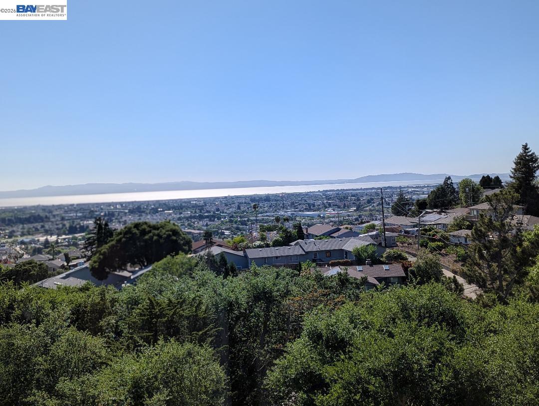 Photo #12: 41129688 Listing: Photo #12