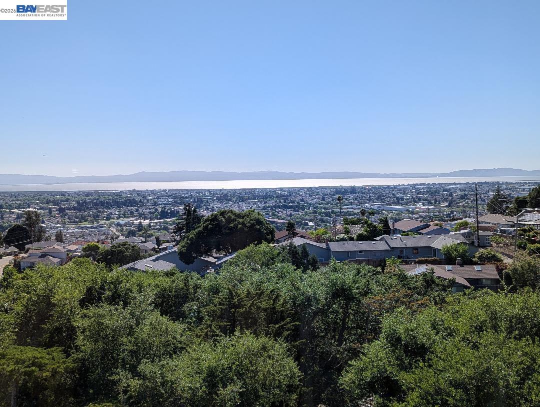 Photo #13: 41129688 Listing: Photo #13