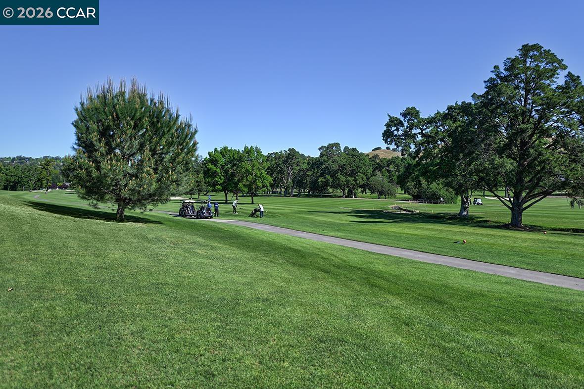 Photo #3: 41129698 Listing: Photo #3