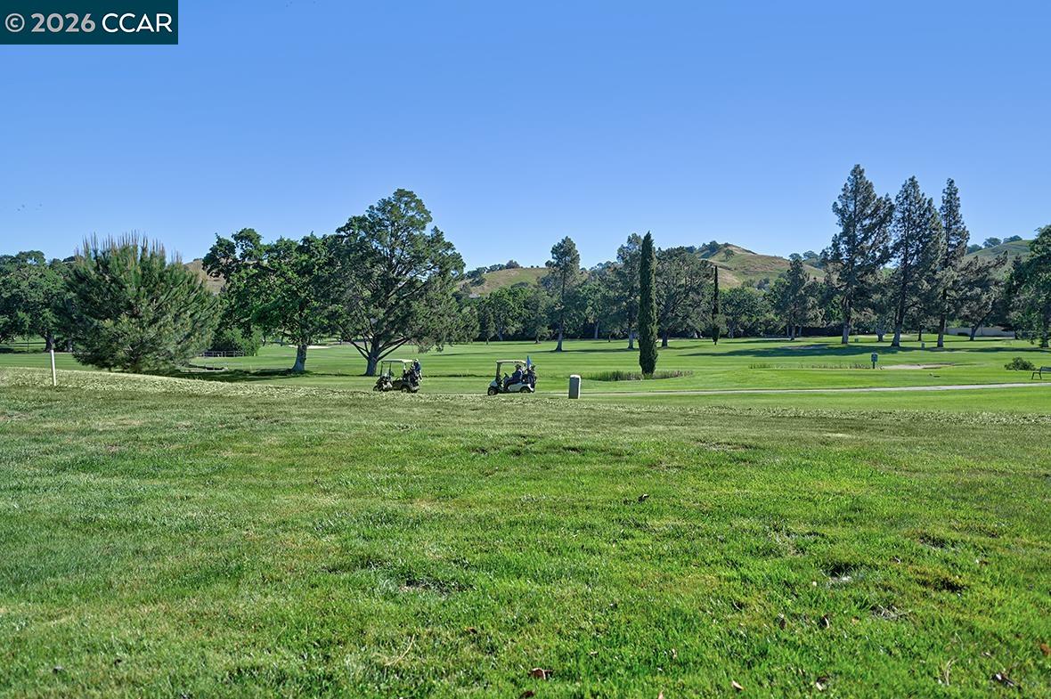 Photo #40: 41129698 Listing: Photo #40