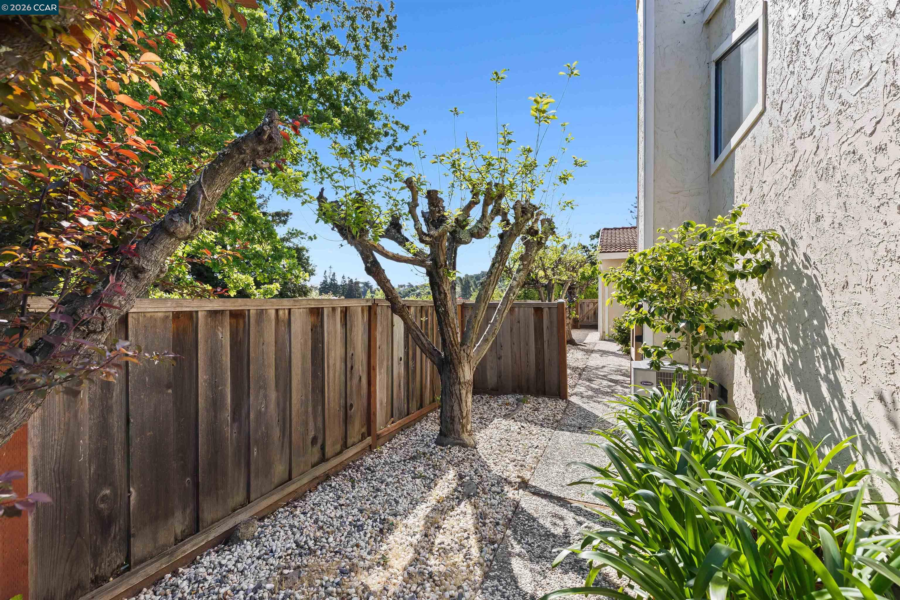 Photo #30: 41129709 Listing: Photo #30