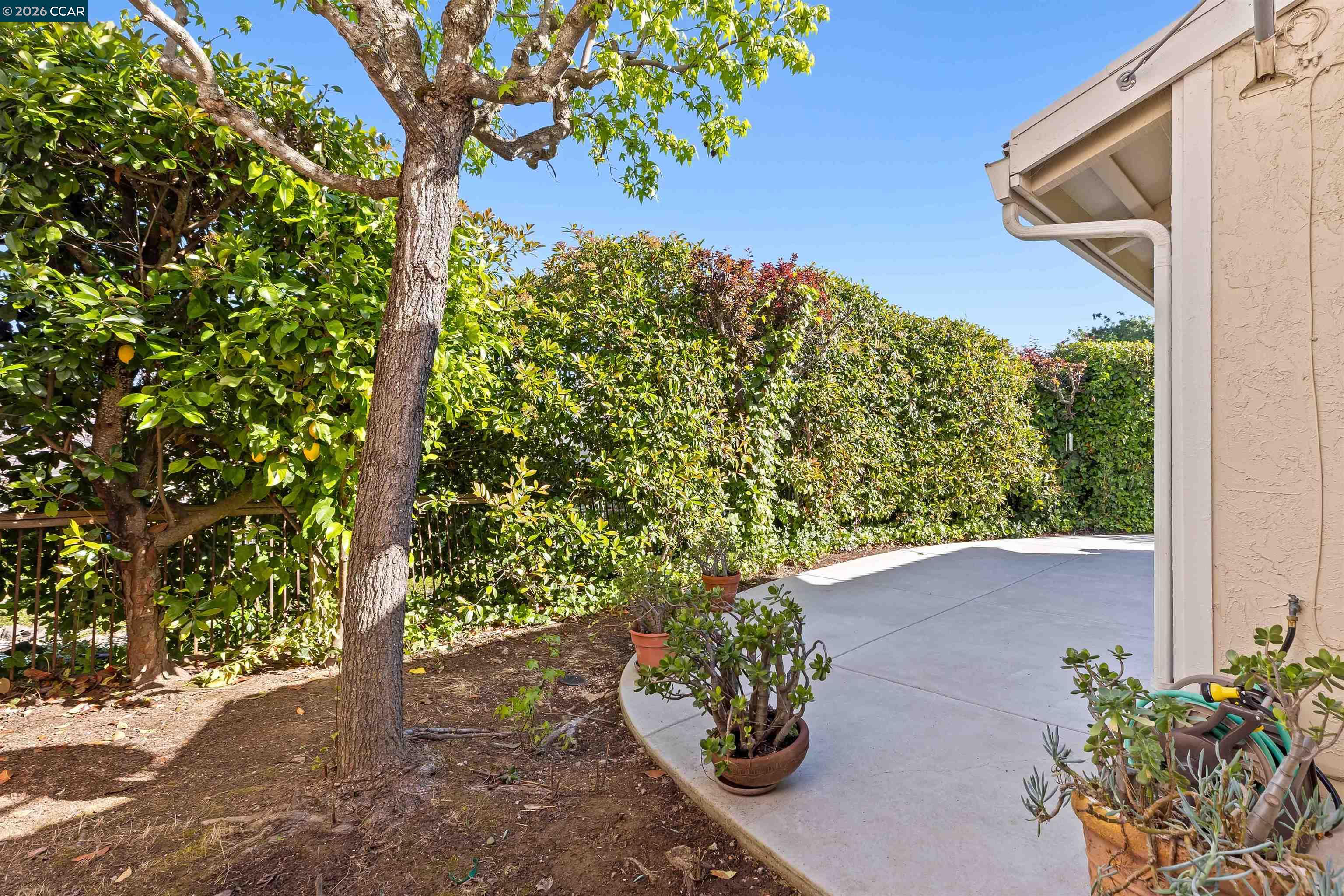 Photo #37: 41129709 Listing: Photo #37