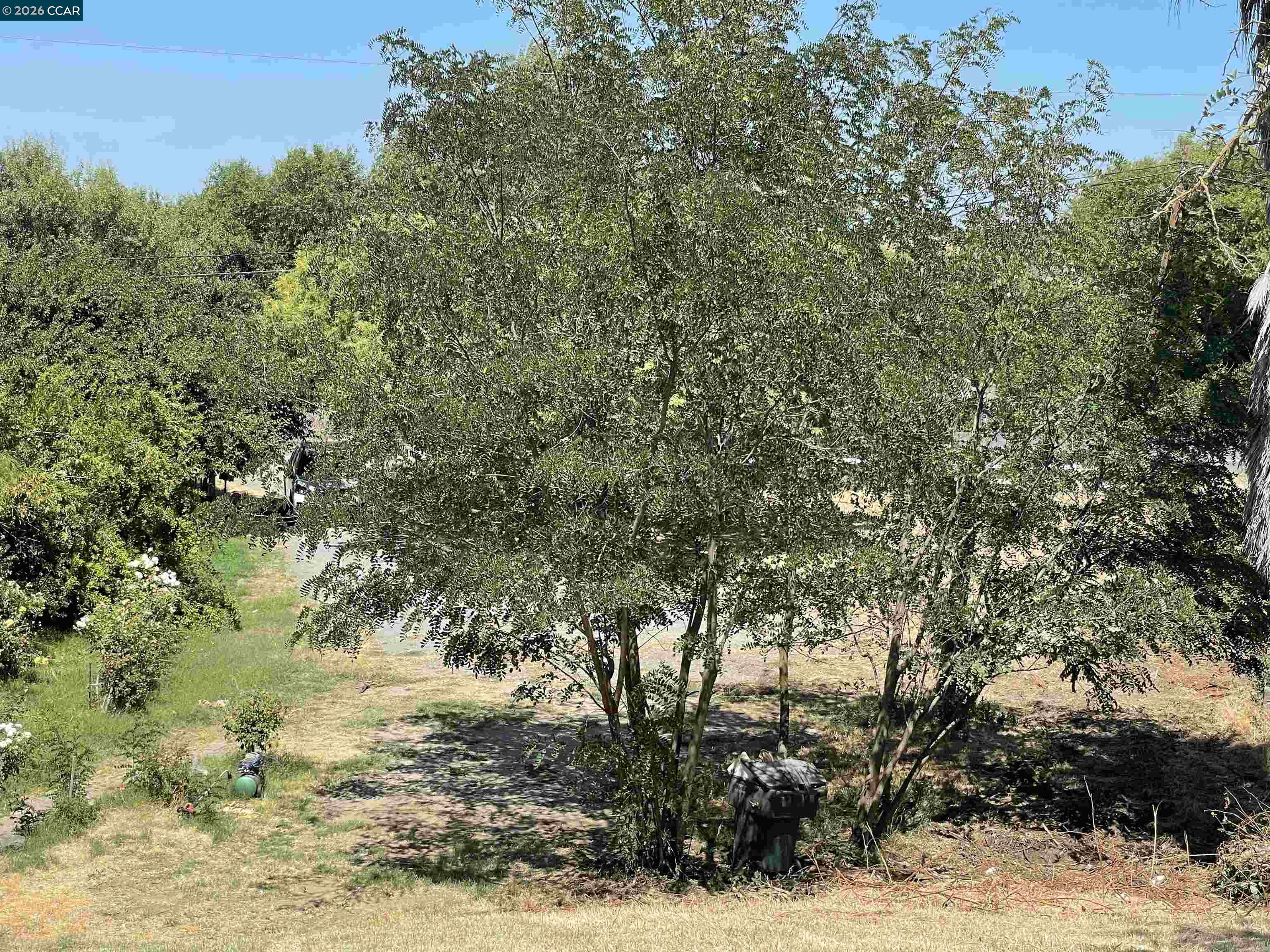 1766 Taylor Rd, Bethel Island CA 94511 — photo 16