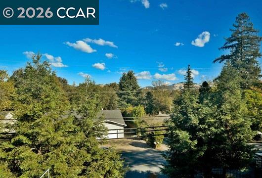 Detail Gallery Image 24 of 54 For 765 Palmer, Walnut Creek,  CA 94596 - 4 Beds | 3/1 Baths