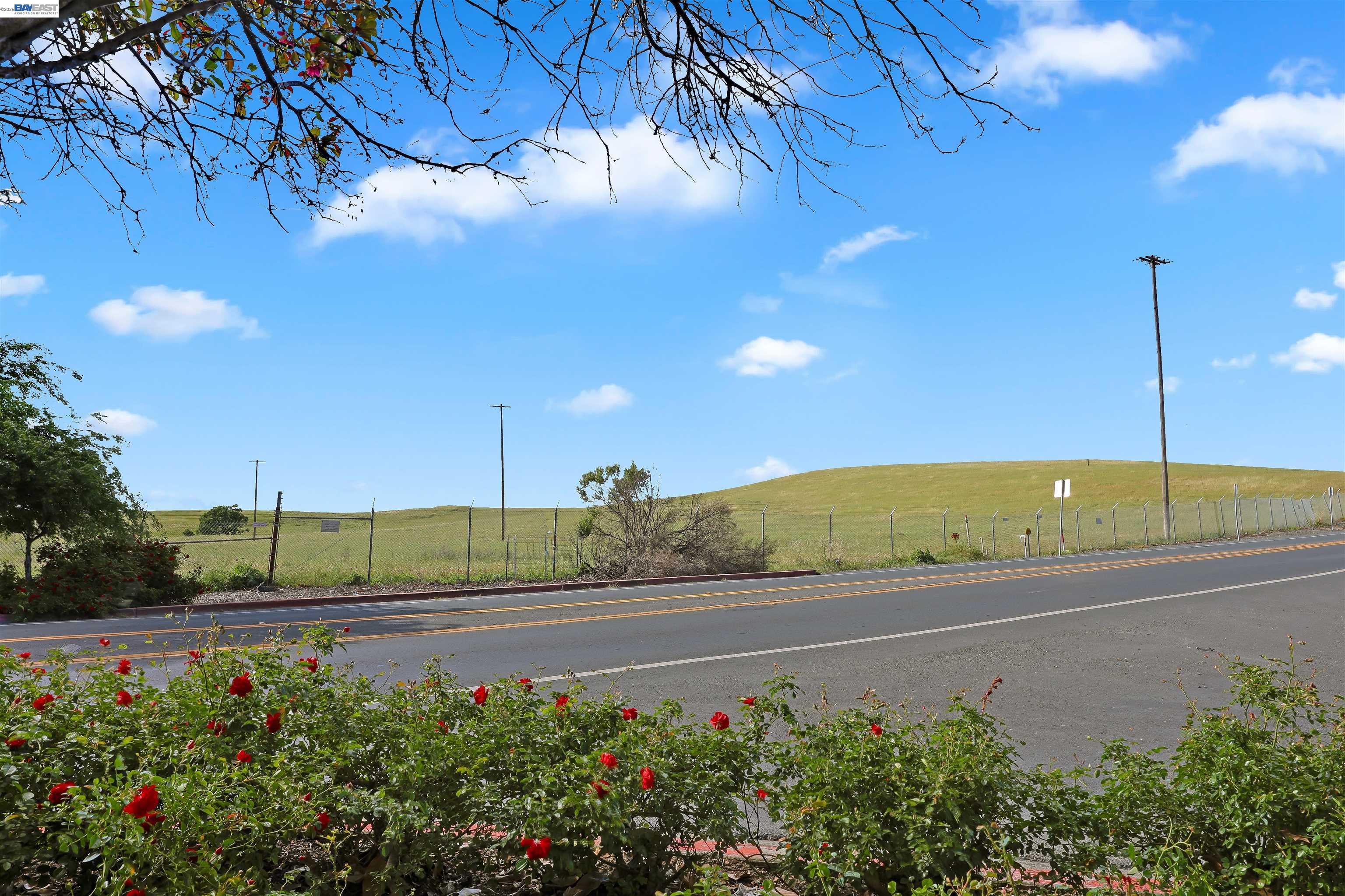 Photo #29: 41129731 Listing: Photo #29