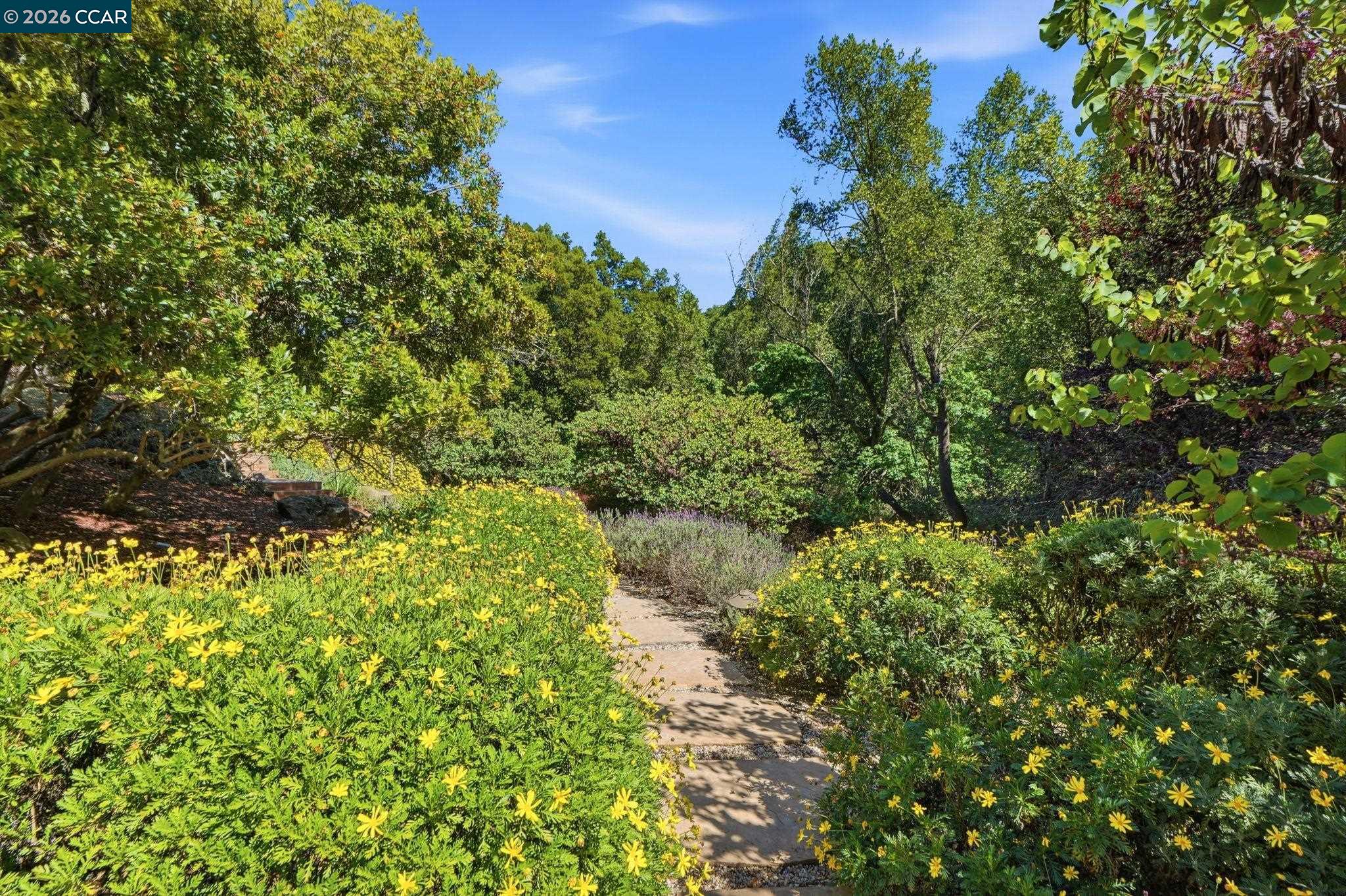 Detail Gallery Image 48 of 60 For 45 N Merrill Circle, Moraga,  CA 94556 - 4 Beds | 3/1 Baths