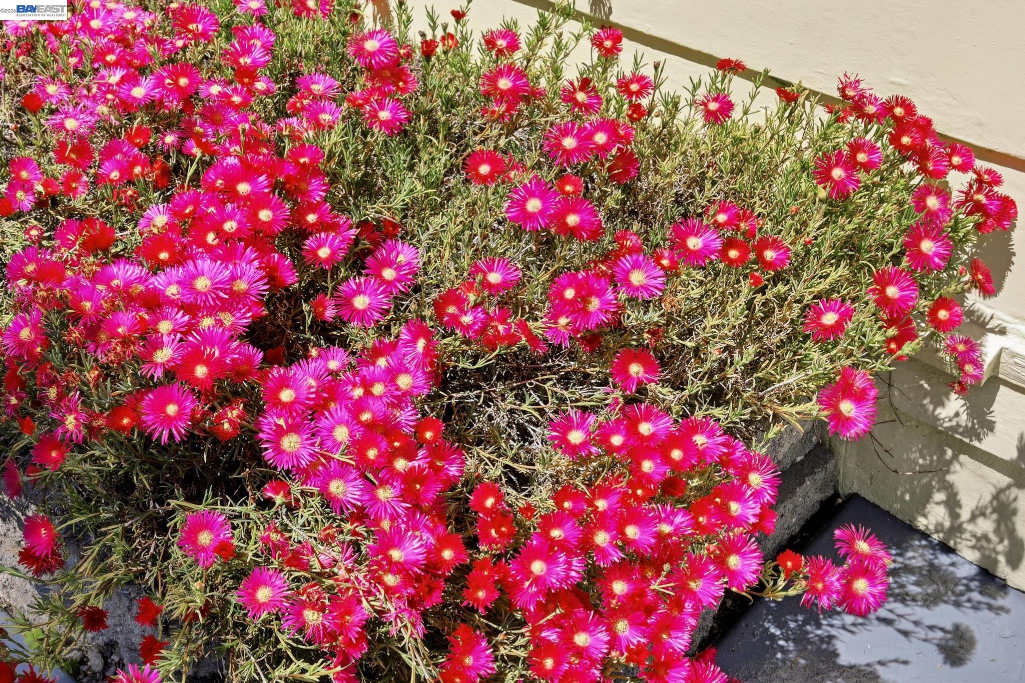 84 OAKES BLVD, San Leandro, CA, 94577