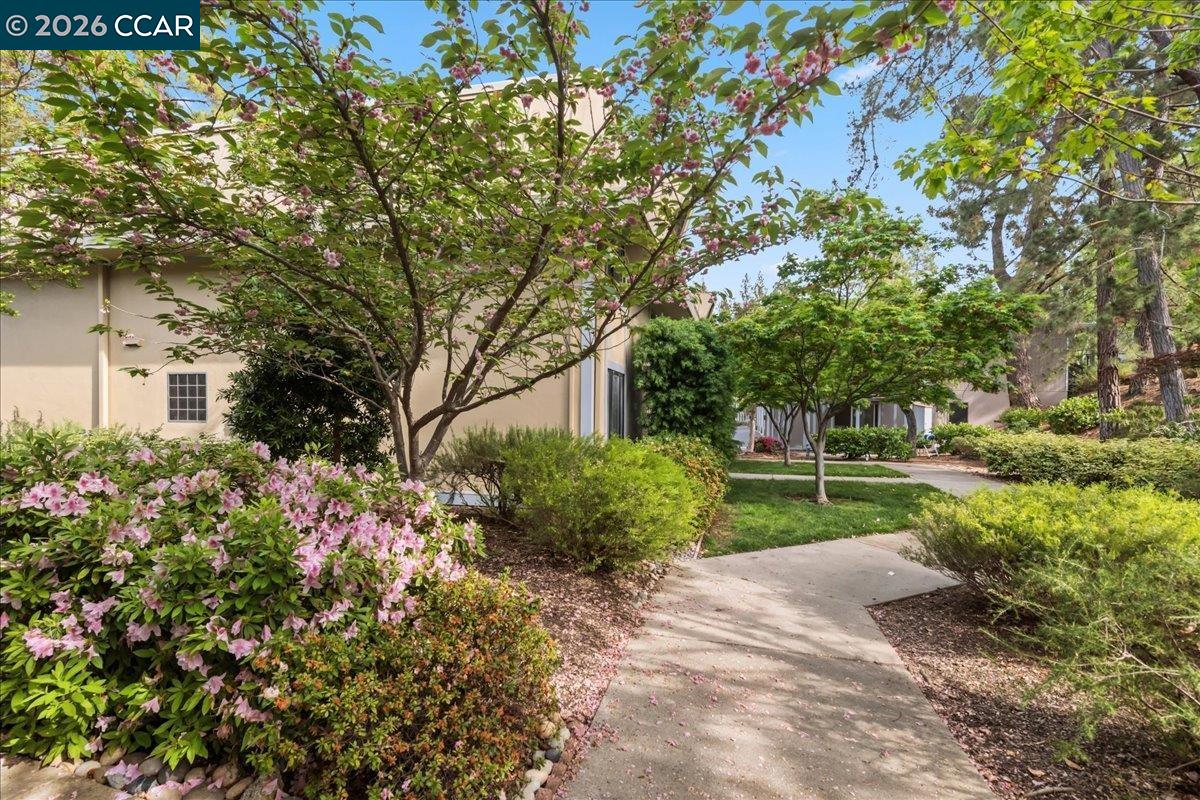 Photo #46: 41129763 Listing: Photo #46