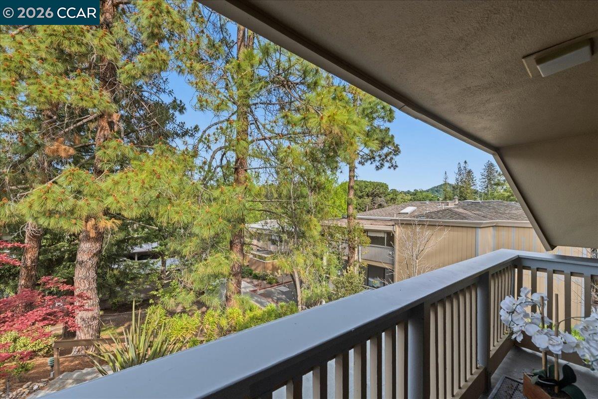 Photo #48: 41129763 Listing: Photo #48