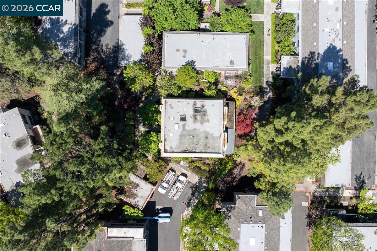 Photo #54: 41129763 Listing: Photo #54