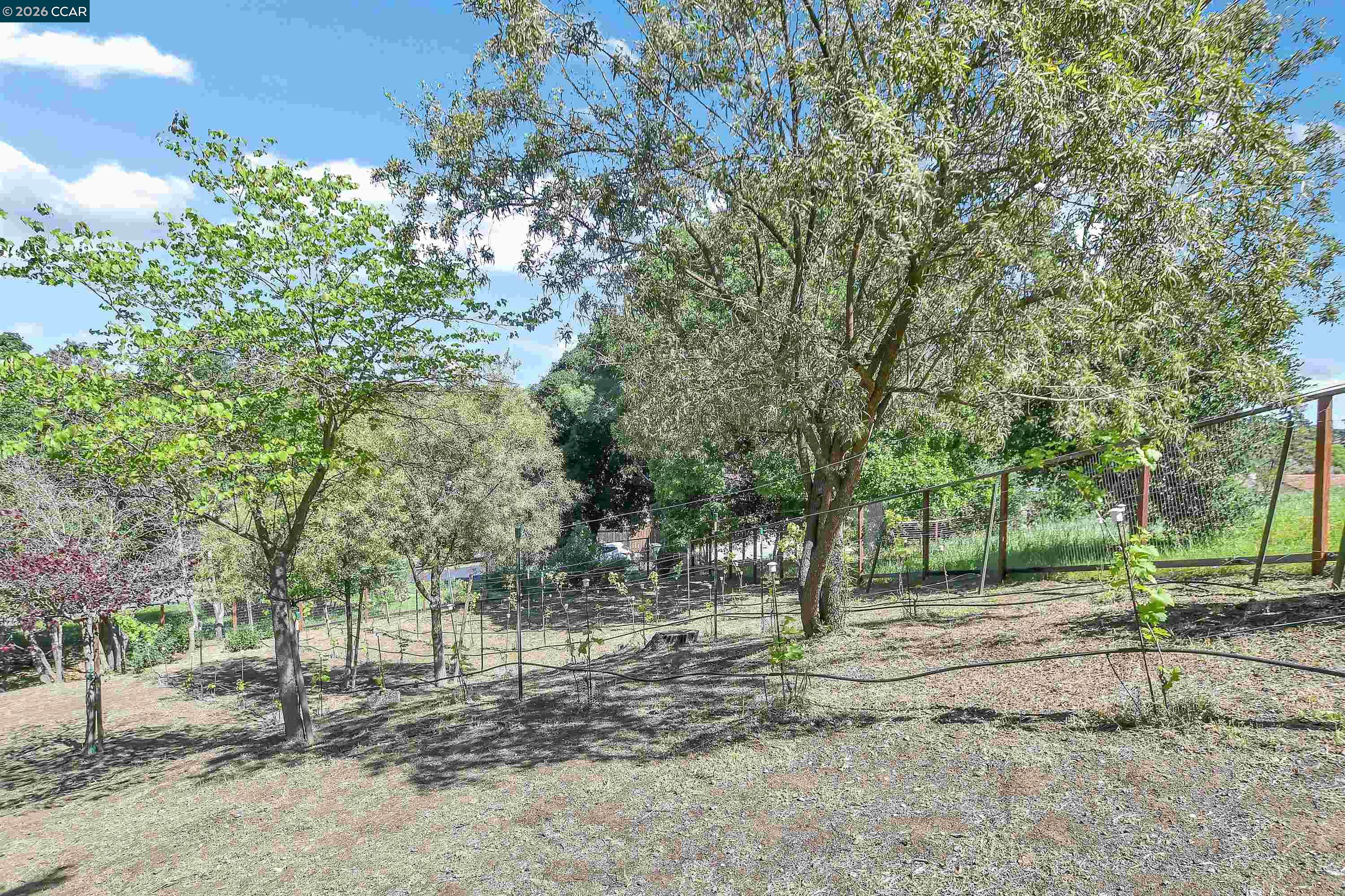 Detail Gallery Image 48 of 59 For 975 Calle Verde, Martinez,  CA 94553 - 4 Beds | 2/1 Baths