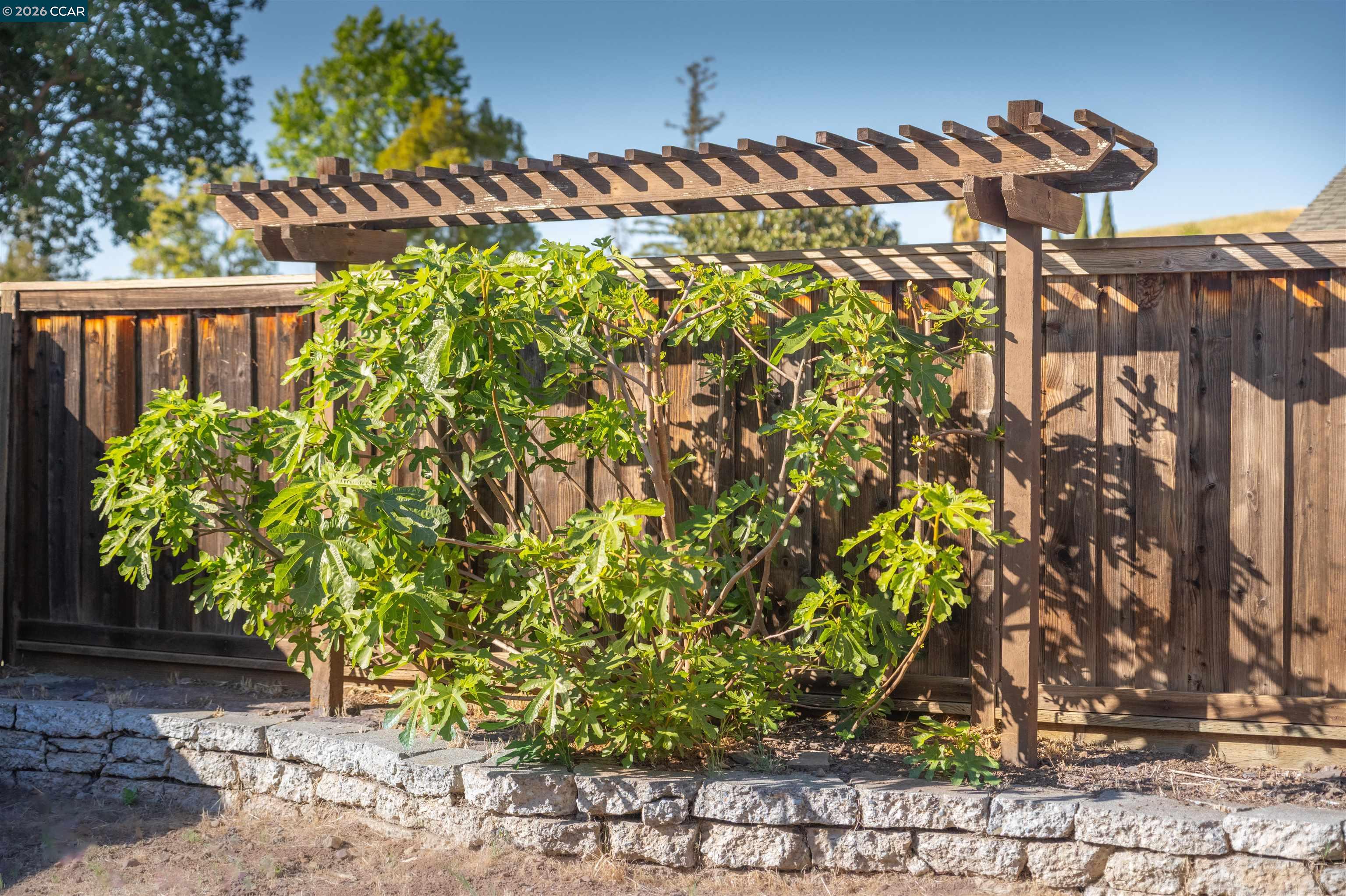 Detail Gallery Image 42 of 43 For 5581 Gonzalez Ct, Concord,  CA 94521 - 3 Beds | 2 Baths