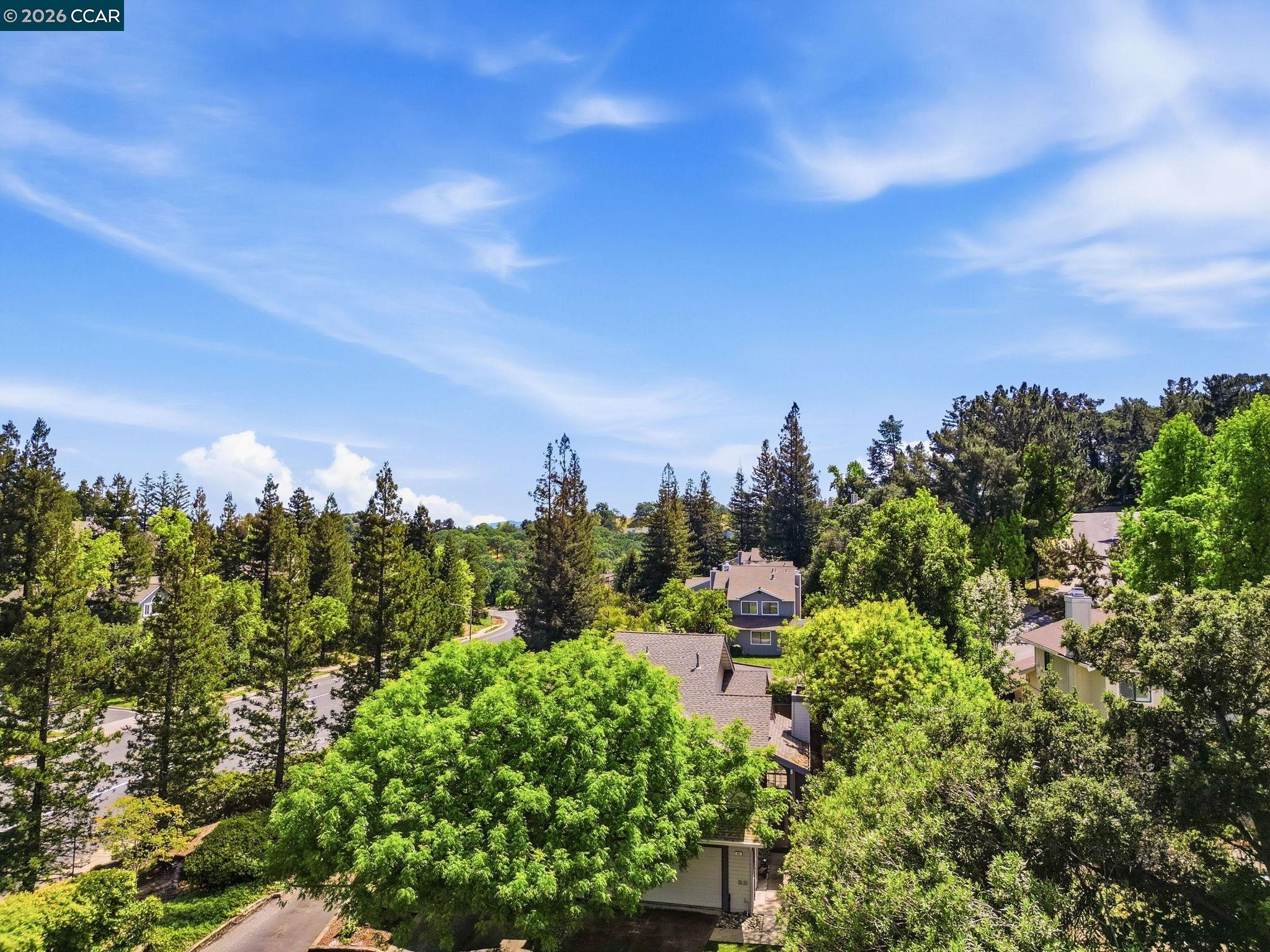 Photo #46: 41129827 Listing: Photo #46