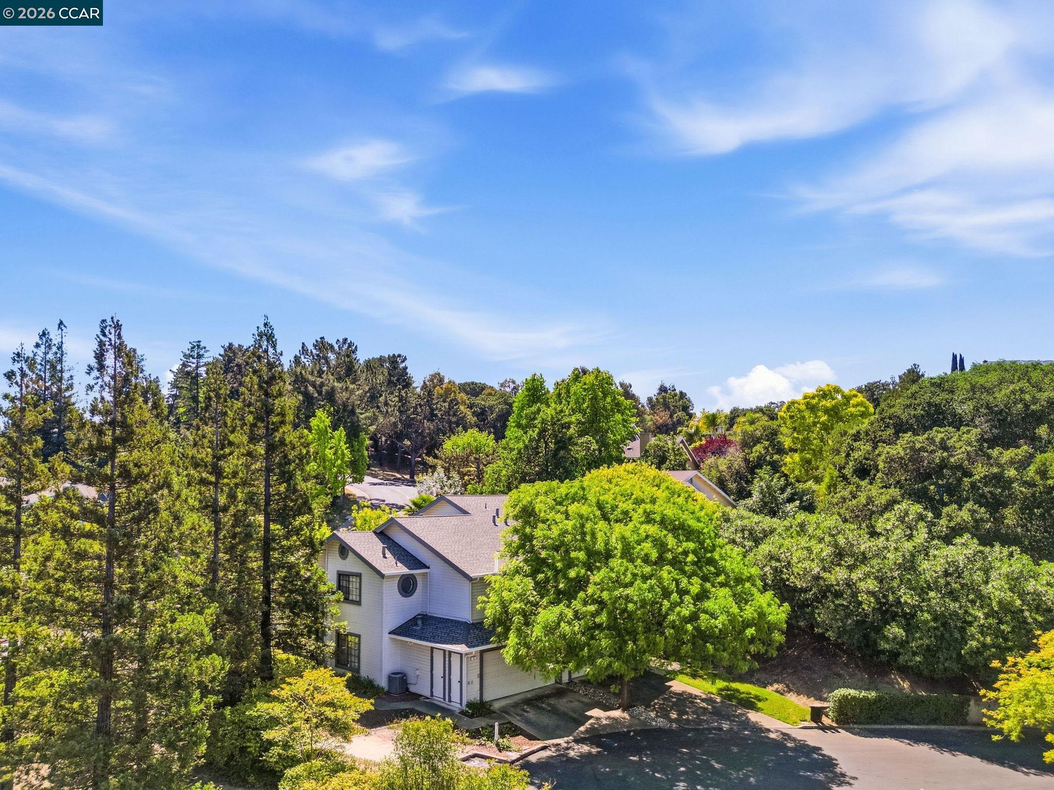 Photo #6: 41129827 Listing: Photo #6