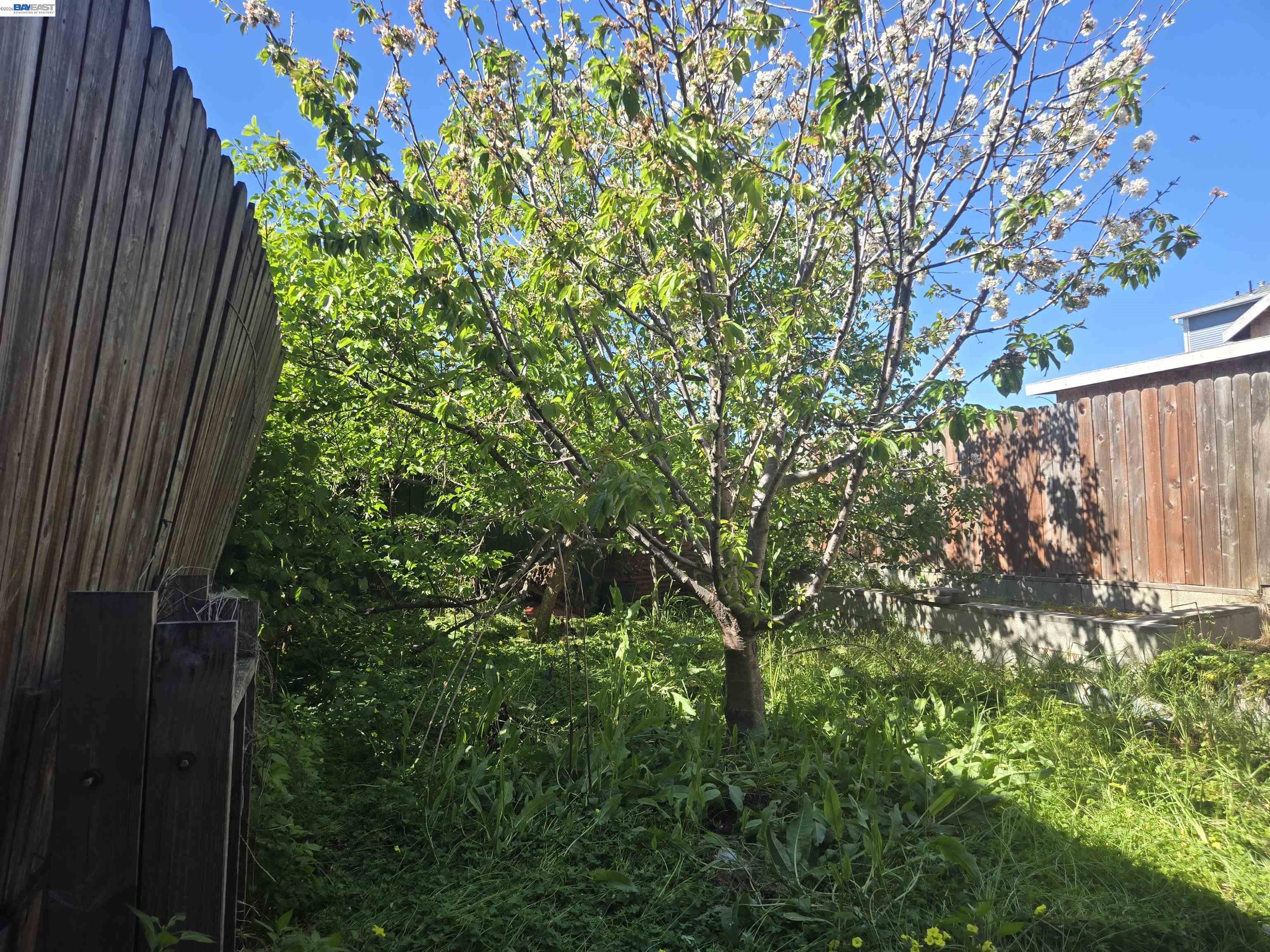 Detail Gallery Image 29 of 29 For 1345 53rd Ave, Oakland,  CA 94601 - 2 Beds | 2 Baths