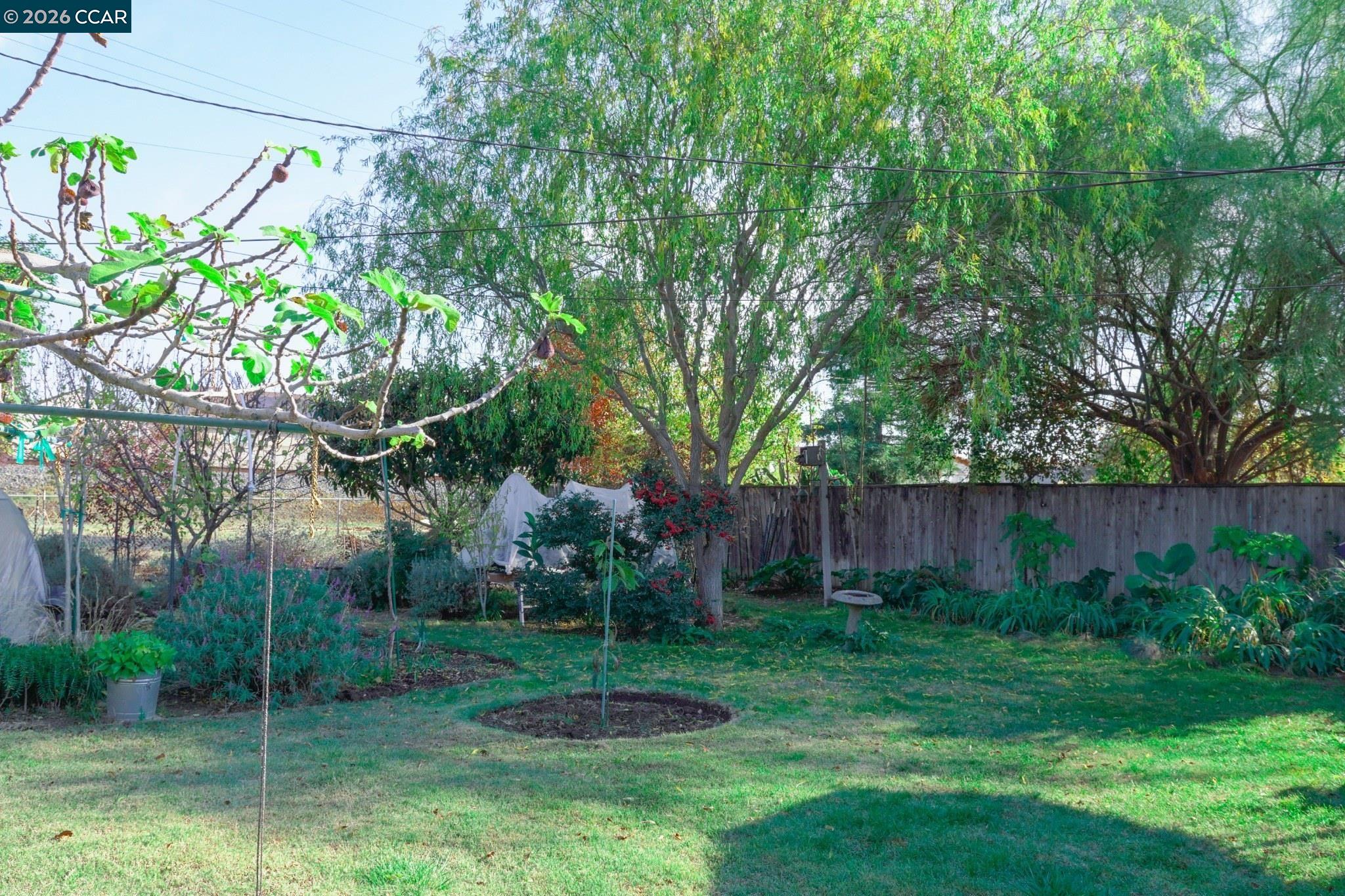 Detail Gallery Image 5 of 42 For 3704 San Rafael, Stockton,  CA 95204 - 2 Beds | 1 Baths