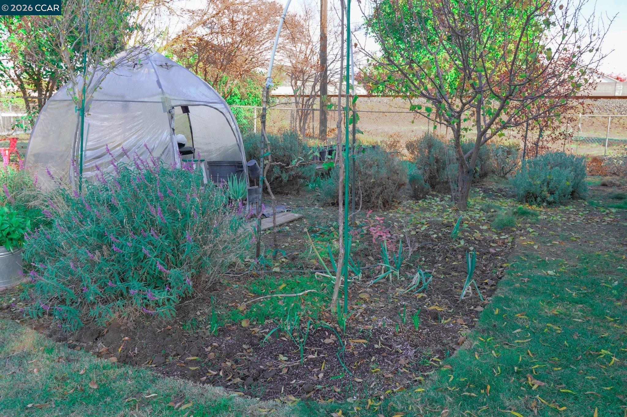 Detail Gallery Image 8 of 42 For 3704 San Rafael, Stockton,  CA 95204 - 2 Beds | 1 Baths