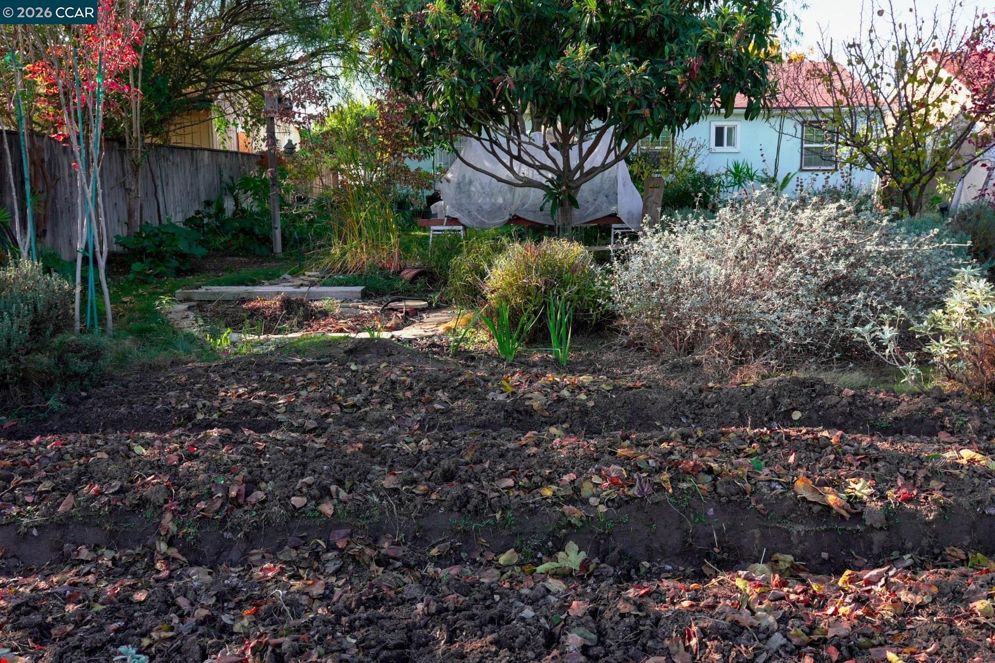 Detail Gallery Image 10 of 42 For 3704 San Rafael, Stockton,  CA 95204 - 2 Beds | 1 Baths