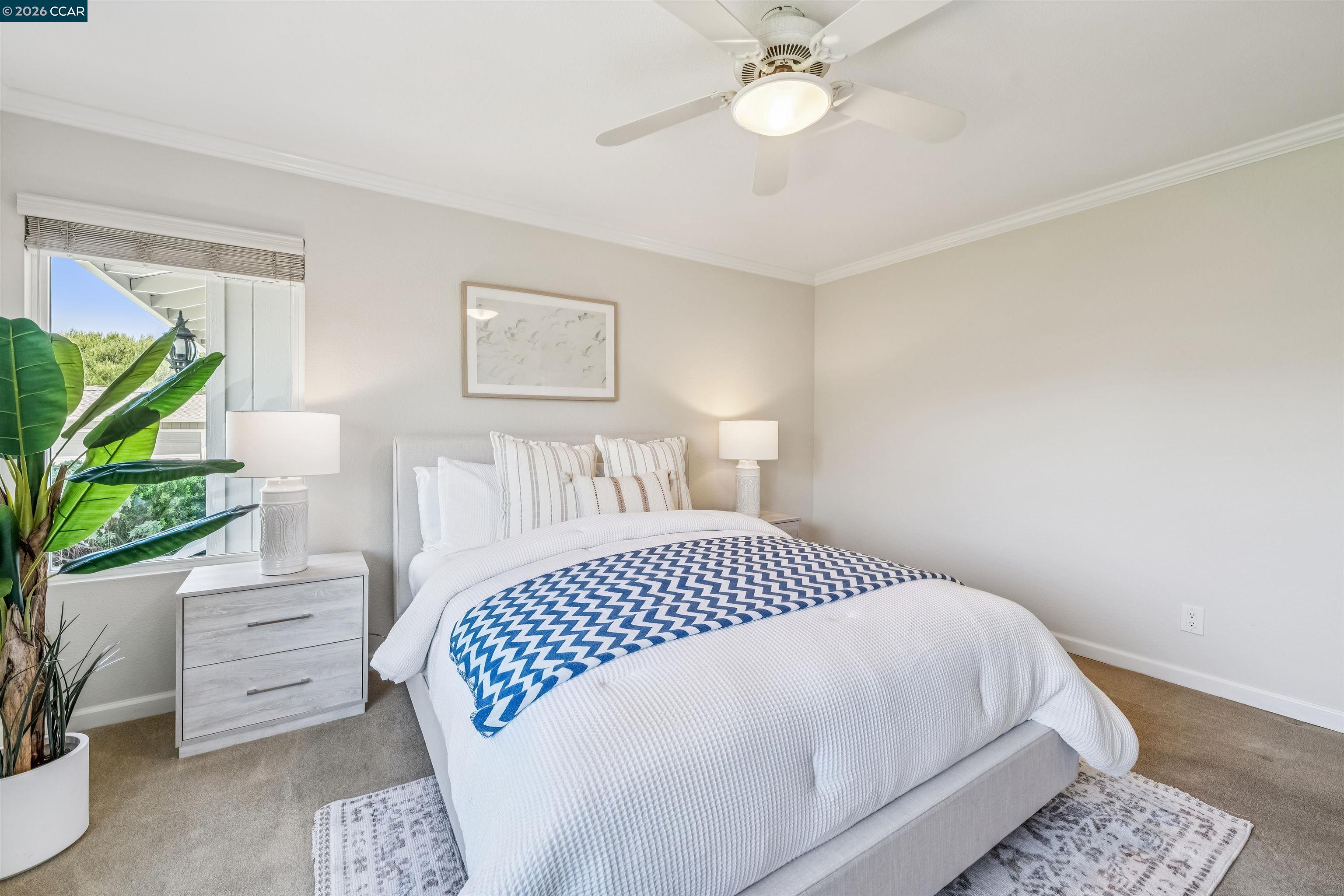 Photo #31: 41129906 Listing: Photo #31