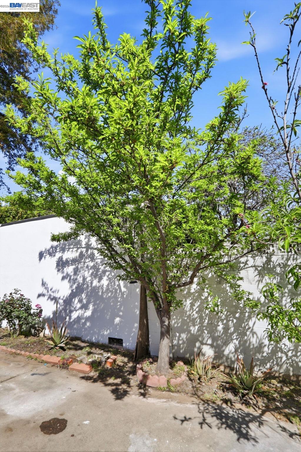 40930 Rioja Ct, Fremont, CA, 94539