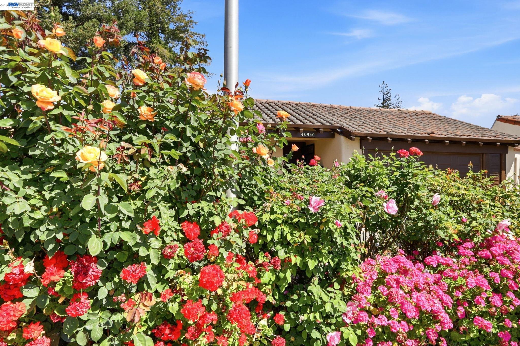 40930 Rioja Ct, Fremont, CA, 94539