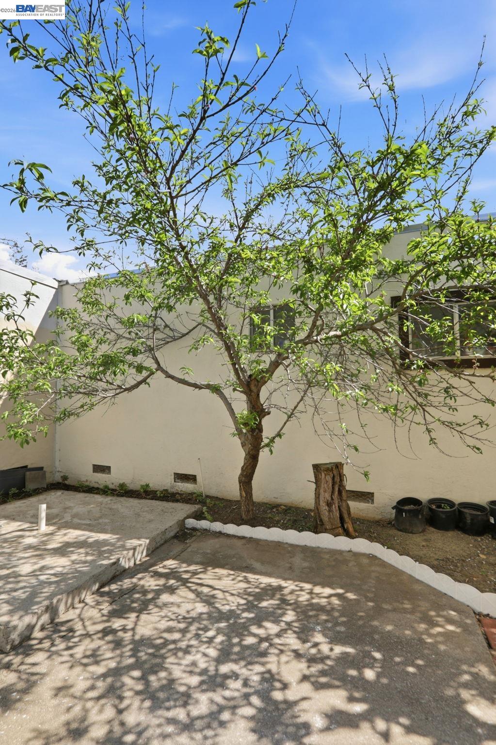 40930 Rioja Ct, Fremont, CA, 94539