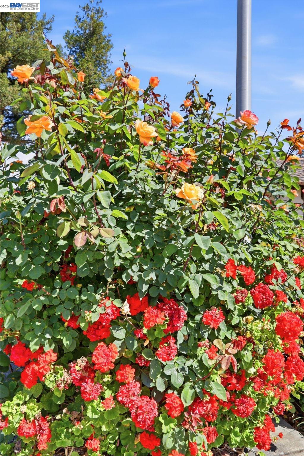 40930 Rioja Ct, Fremont, CA, 94539