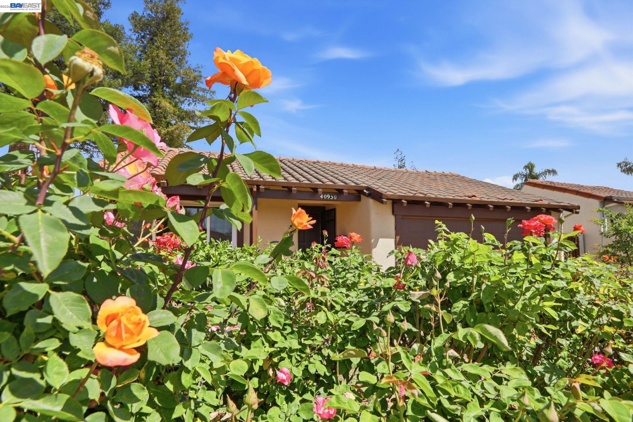 40930 Rioja Ct, Fremont, CA, 94539