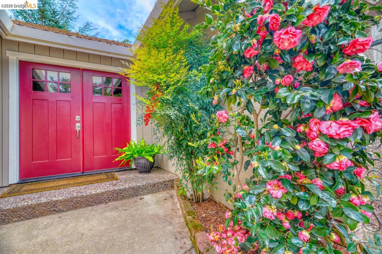 Detail Gallery Image 8 of 20 For 12689 Mount Jefferson, Groveland,  CA 95321-9356 - 3 Beds | 2 Baths