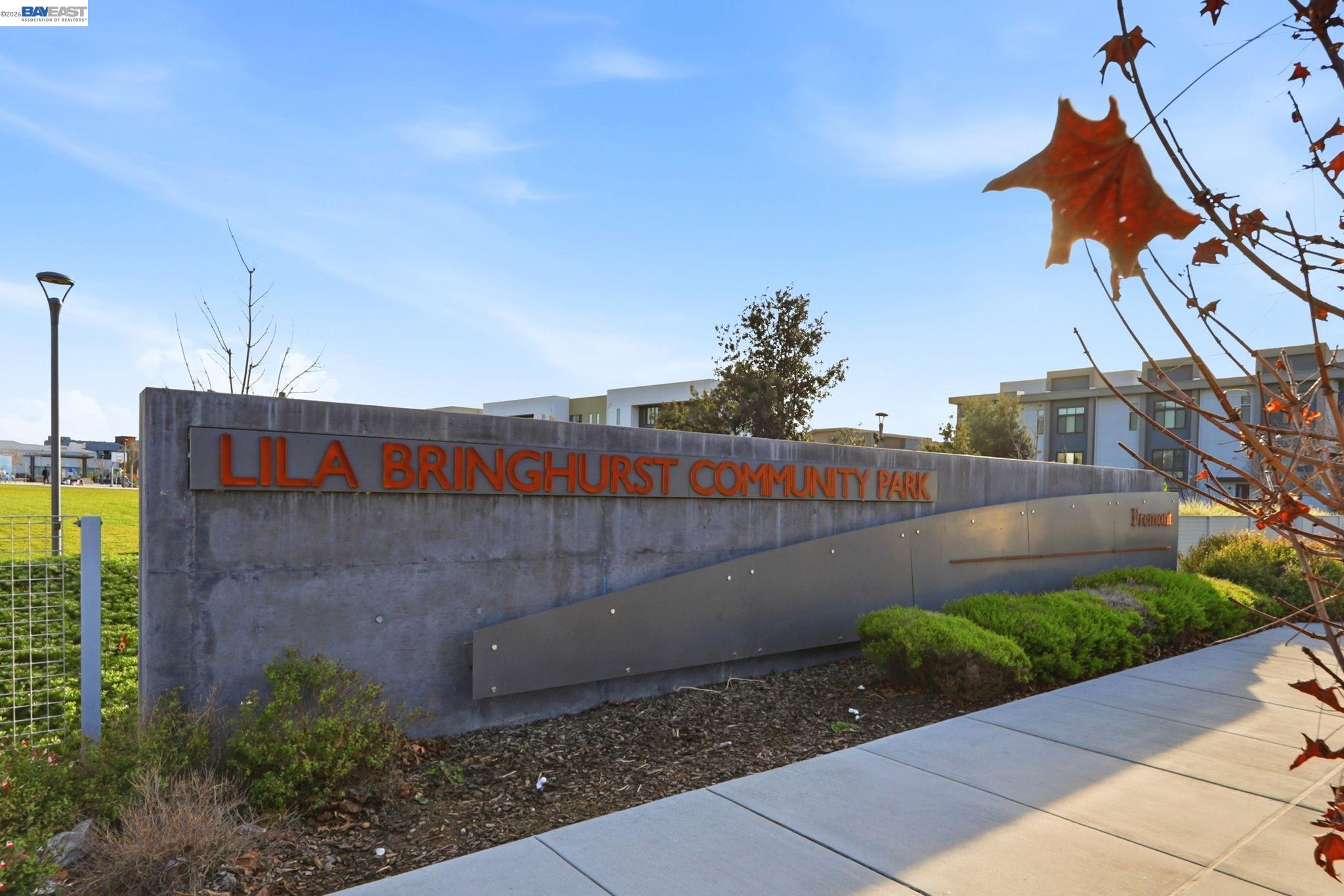 Photo #50: 41130032 Listing: Photo #50