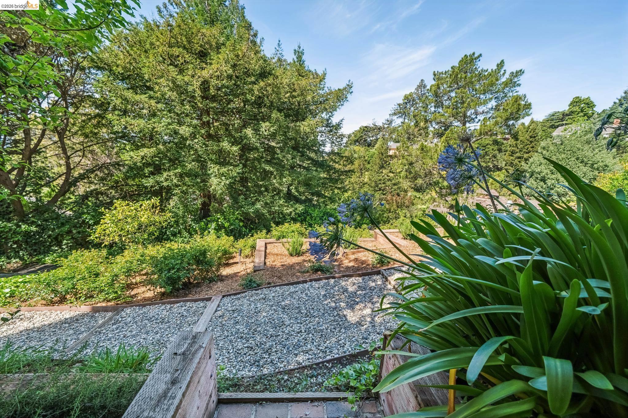 Detail Gallery Image 53 of 60 For 6277 Wood Dr, Oakland,  CA 94611 - 5 Beds | 5/2 Baths