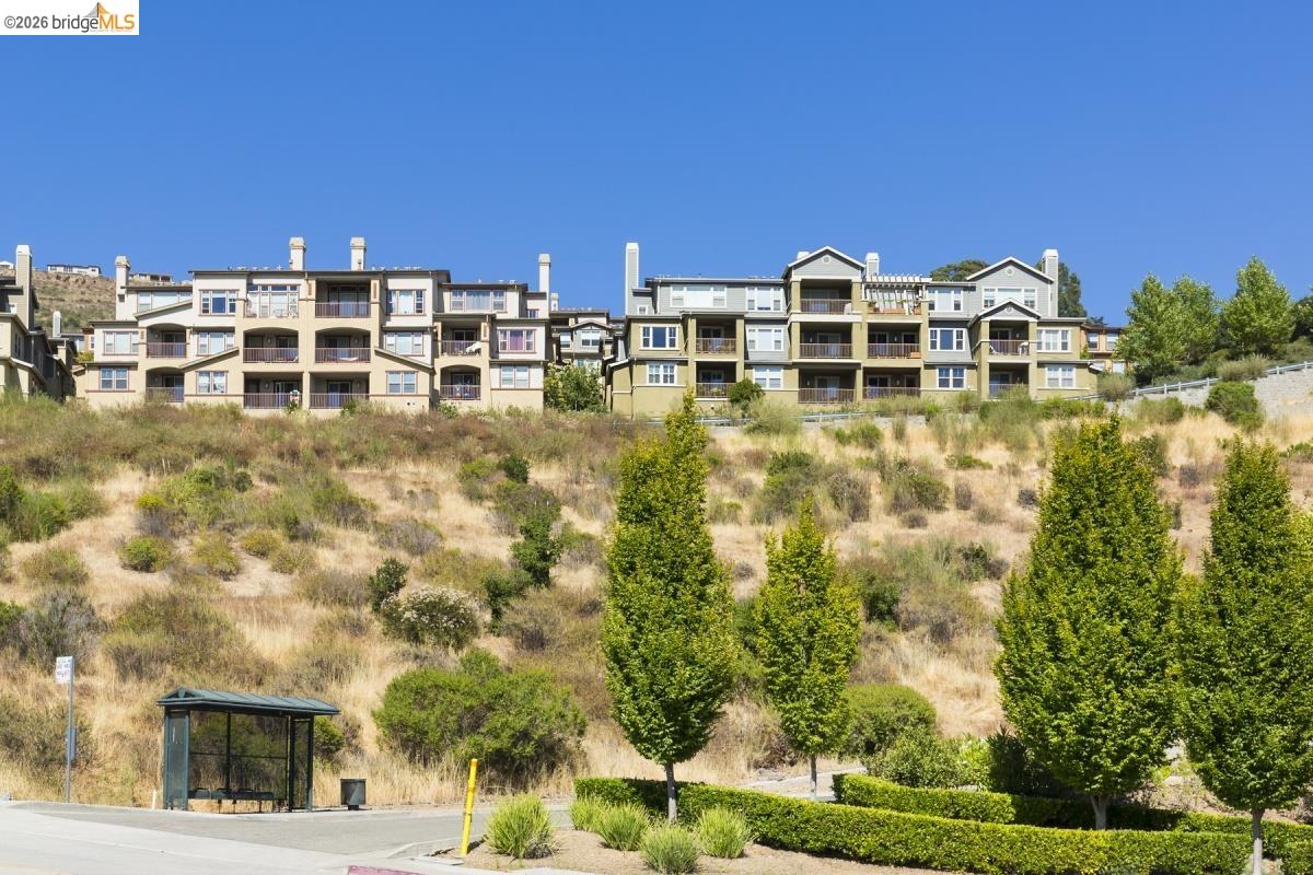 Photo #39: 41130051 Listing: Photo #39