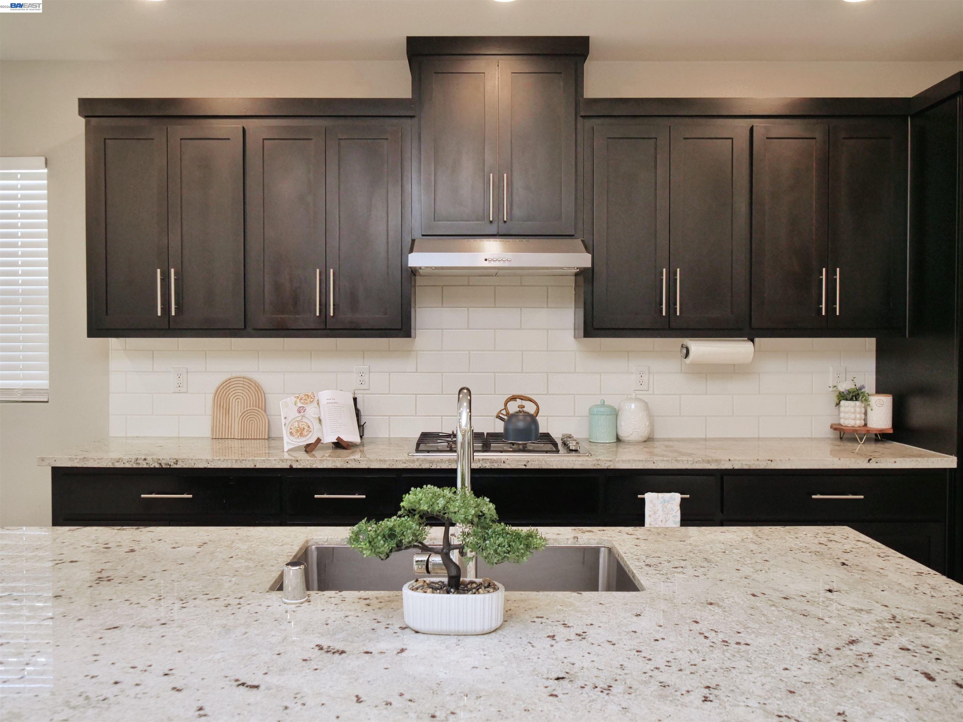 Detail Gallery Image 12 of 56 For 2582 Azalea Ave, Tracy,  CA 95376 - 4 Beds | 3/1 Baths