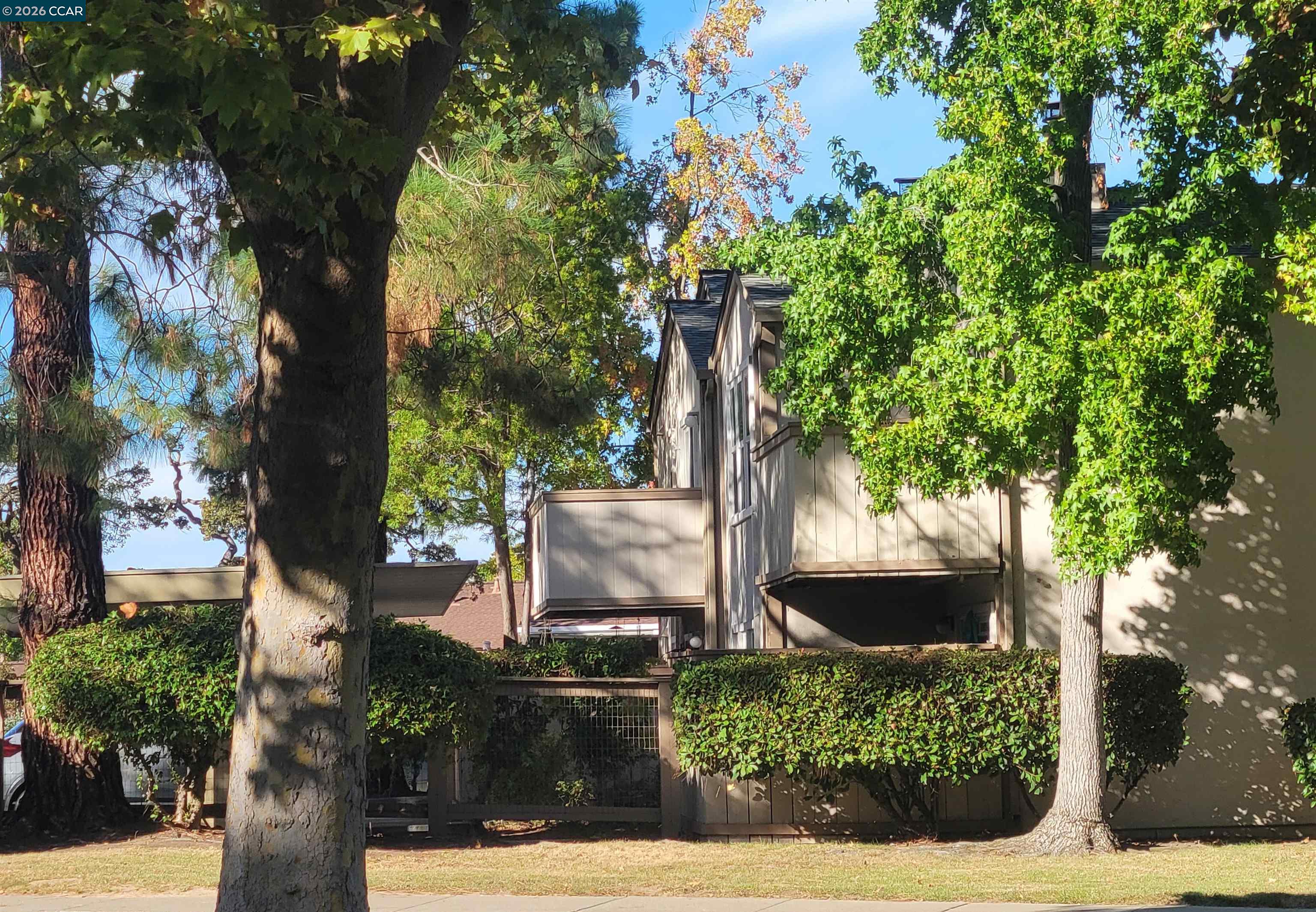 Photo #19: 41130088 Listing: Photo #19