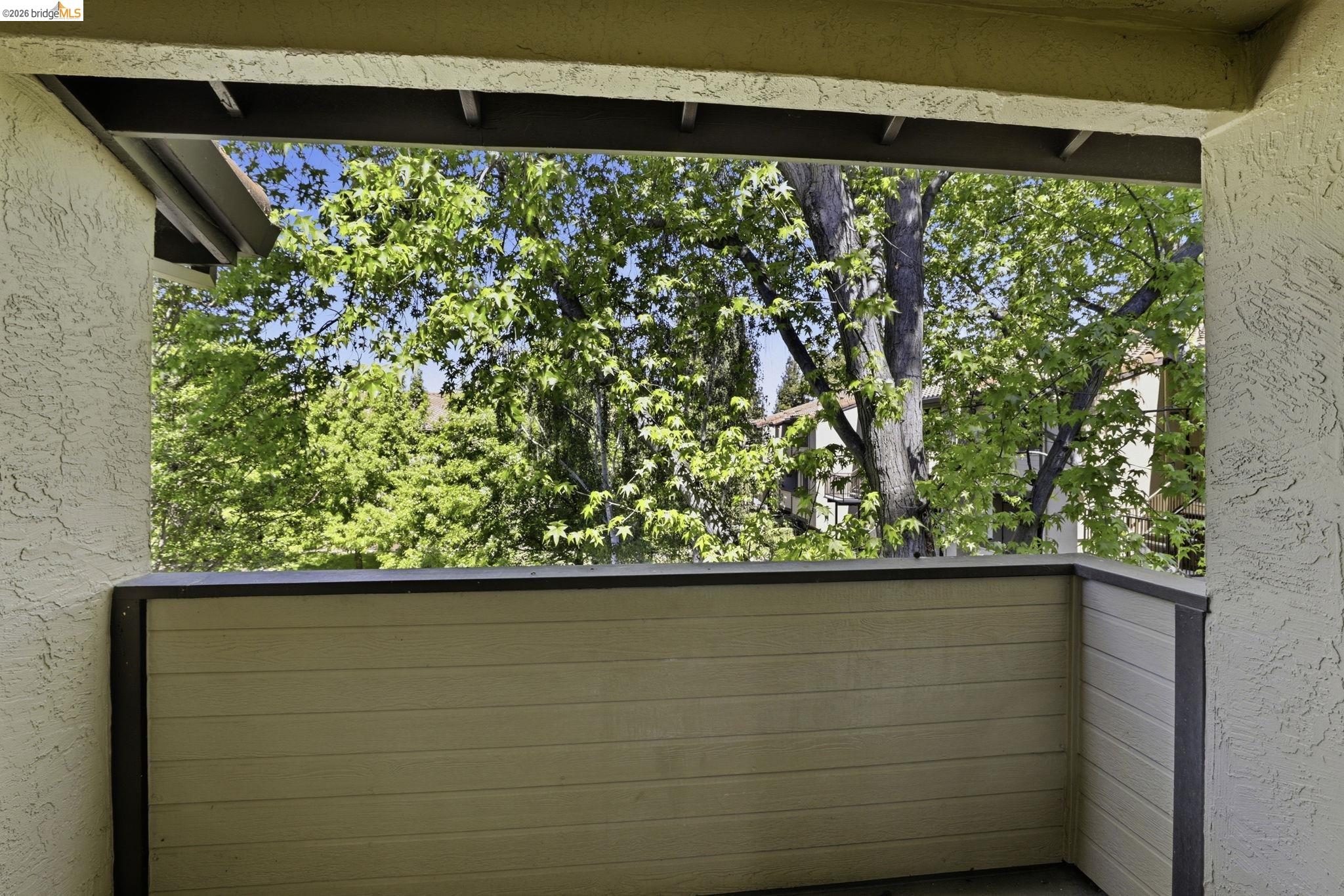 Photo #26: 41130095 Listing: Photo #26