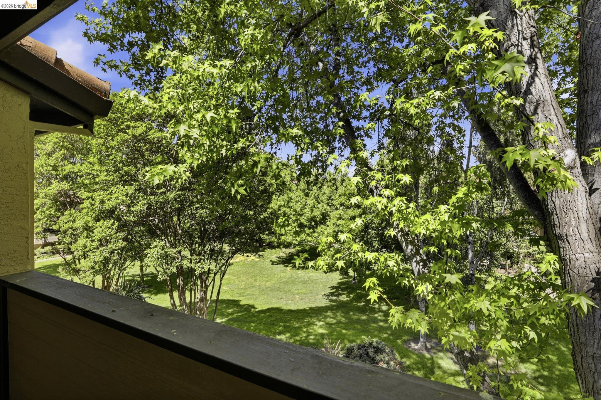 Photo #27: 41130095 Listing: Photo #27