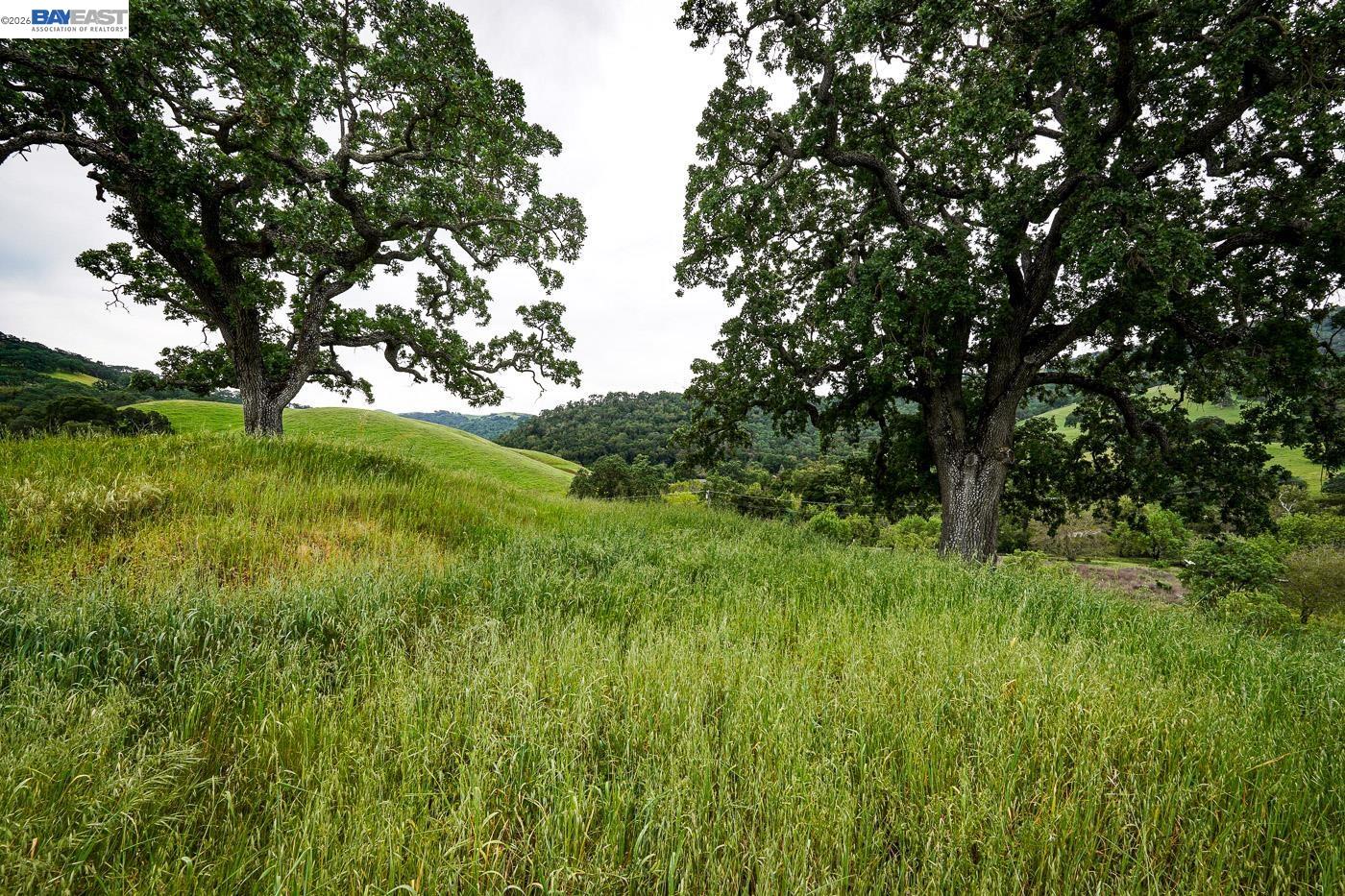 Detail Gallery Image 39 of 60 For 6115 Morgan Territory Rd, Clayton,  CA 94517 - 2 Beds | 1 Baths